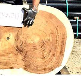 Поперечный спил дерева - тип 3