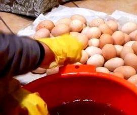 Предварительная дезинфекция - вариант 3