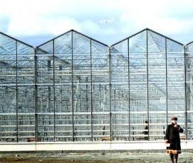 Приморские теплицы - вариант 4