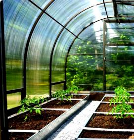 Приусадебные теплицы - тип 1