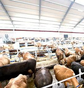 Проектирование ферм - вариант 4