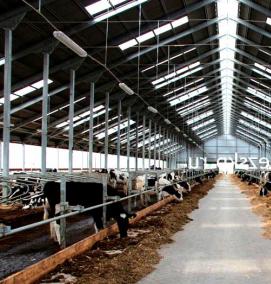 Проектирование ферм - вариант 3