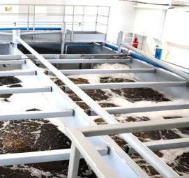 Проектирование канализационных очистных сооружений - вариант 2