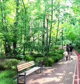 Проектирование планировки территории - вариант 4