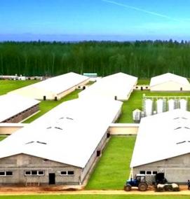 Проектирование животноводческих комплексов - тип 1