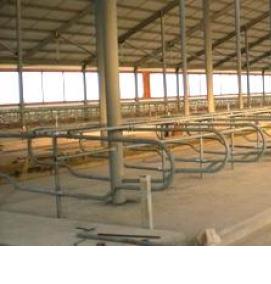 Проектирование животноводческих комплексов - тип 4