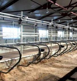 Проектирование животноводческих комплексов - тип 3