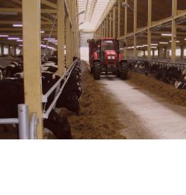 Проектирование животноводческих комплексов - тип 2