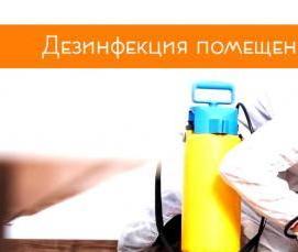 Профессиональная дезинфекция помещений - вариант 2