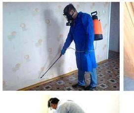 Профессиональная дезинсекция - тип 4