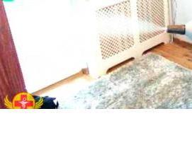 Профессиональная дезинсекция - тип 3