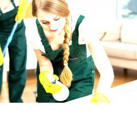 Профессиональная уборка территорий - тип 2