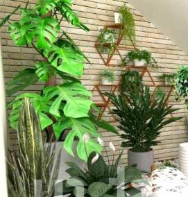 Профессиональное озеленение - тип 3