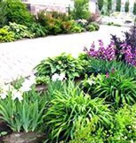 Профессиональное озеленение - тип 2