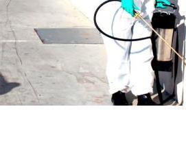 Профилактическая дезинсекция - тип 2