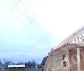 Профилированный брус 50х150 мм - модель 1