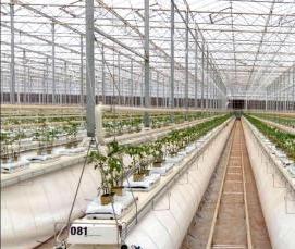 Промышленные теплицы - модель 1