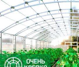 Промышленные теплицы - модель 4