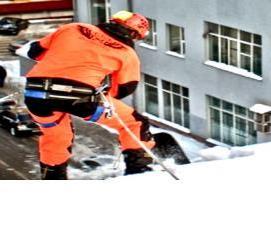 Промышленный альпинизм: деревья - тип 4