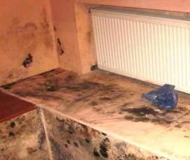 Проникающая гидроизоляция изнутри от грунтовых вод - модель 1