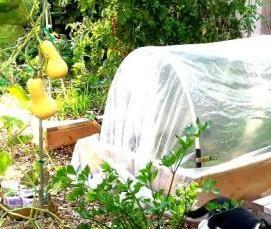 Простая теплица - модель 4