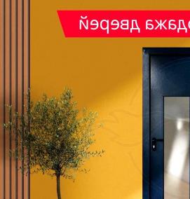 Противопожарная железная дверь - модель 3