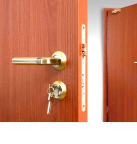 Противопожарные двери с мдф накладкой - вариант 2