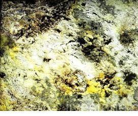 Прозрачный шпон - модель 1