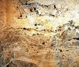 Прозрачный шпон - модель 2