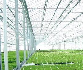 рабочие теплицы - модель 4