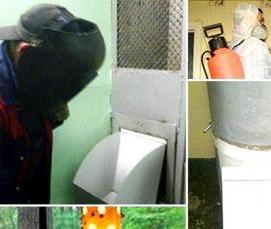 работы по дезинсекции и дератизации - модель 1