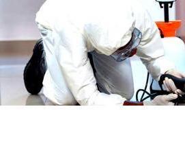 работы по дезинсекции и дератизации - модель 4