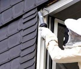 работы по дезинсекции и дератизации - модель 3