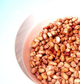 рассада фасоли - модель 2