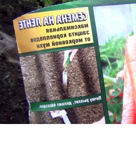 рассада моркови - вариант 1