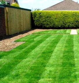 разнотравный газон - тип 3