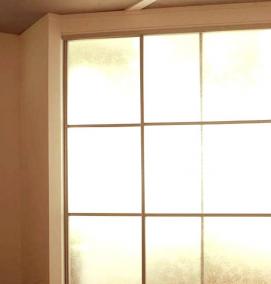 реечные двери купе - тип 1