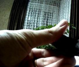 ремонт личинки замка - тип 4