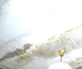 ремонт после протечки кровли - модель 1