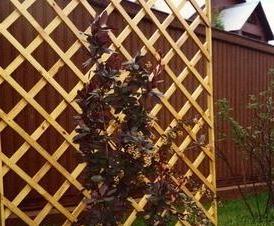 решетчатый  деревянный - вариант 4