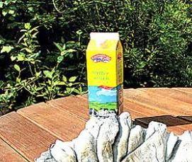 реставрационные цементы - модель 2