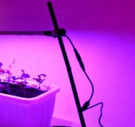 розовая лампа для рассады - тип 1