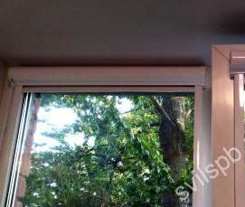 рулонные шторы Магнолия - вариант 1