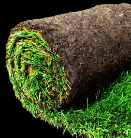 рулонный газон - вариант 1