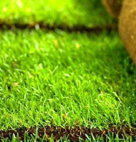 рулонный газон - вариант 3