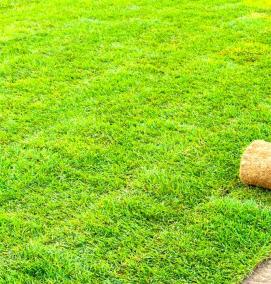 рулонный газон - вариант 2