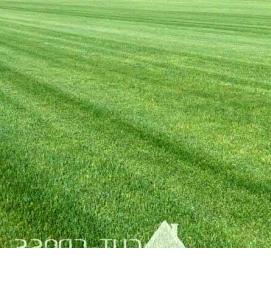 рулонный газон теневыносливый - тип 4