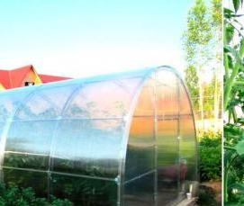 русские теплицы - вариант 4