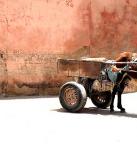 садовая фигура осел с тележкой - вариант 2