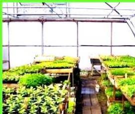 самоотапливаемая зимняя теплица - вариант 2